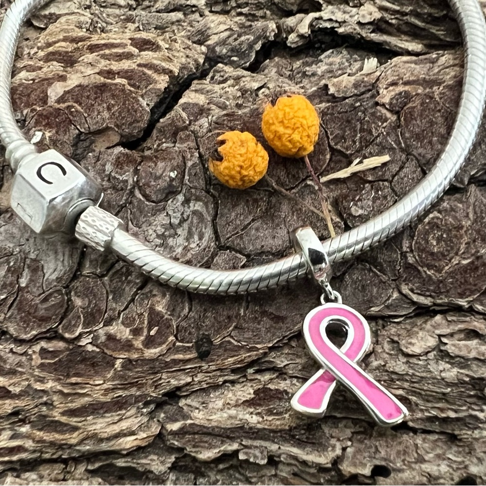 New Authentic Chamilia Charm Breast Cancer Give Back Pink Ribbon 2020-0758